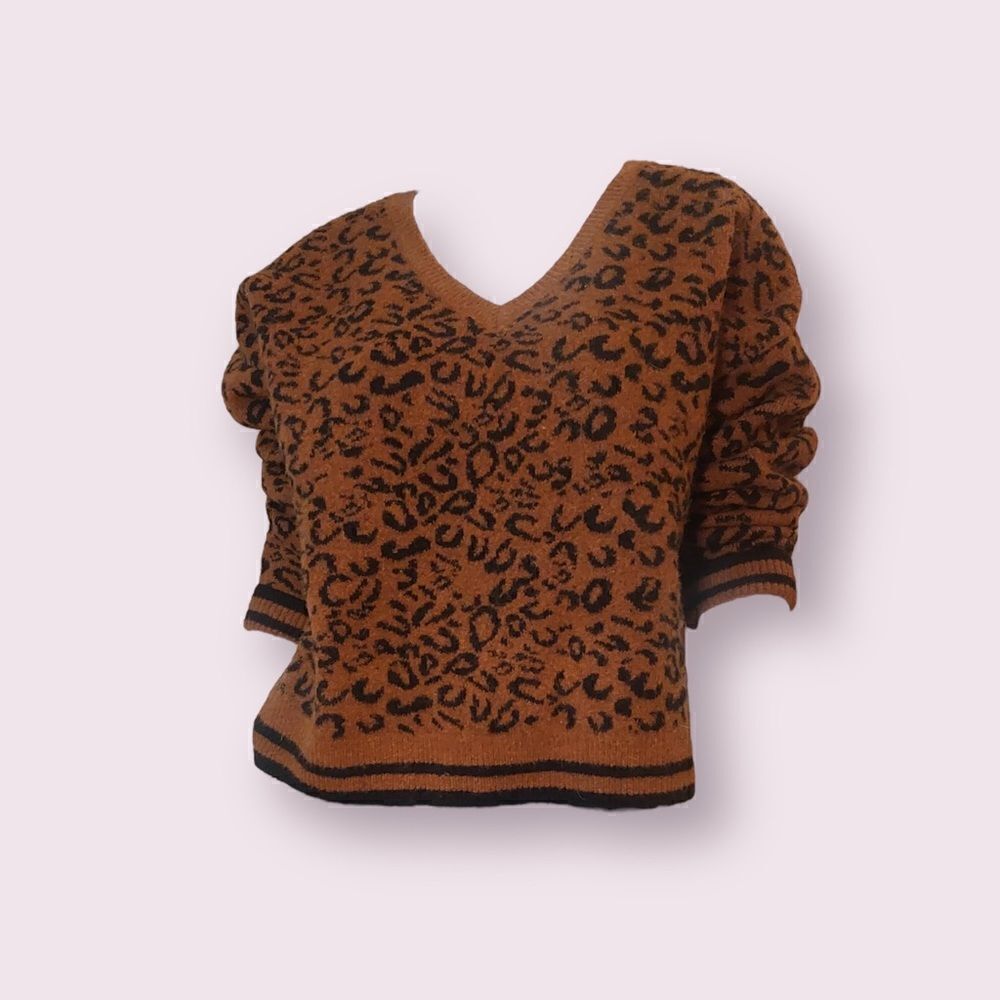 Line Cheetah Print V Neck Knit Sweater